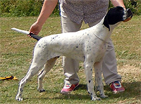 Rhys-Pointer-Club-2010.jpg