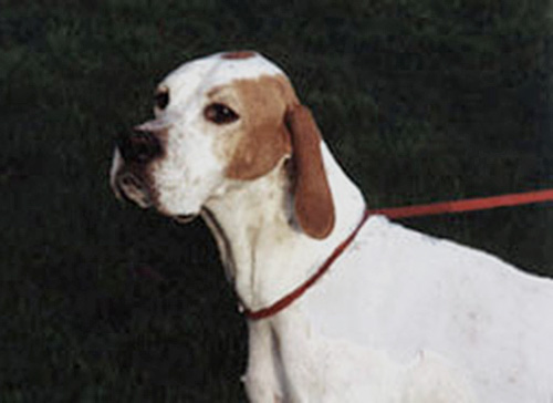 Josie-0401-256_500.jpg