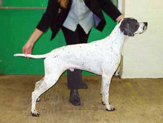 evan-sp-530.jpg