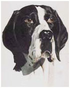 amy-140.jpg