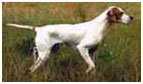 josie-143.jpg