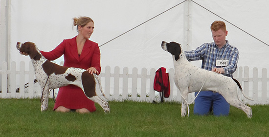 Rhys_Matthew_Sam_marquee.jpg