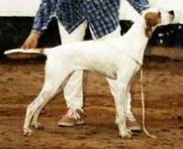 Josie_2-185.jpg