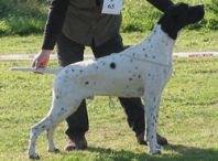 charlie1-250-185.jpg