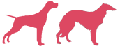 Tycarreg Pointers & Windhound